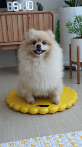 공삼님이 올린 리뷰 사진 1