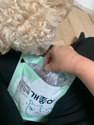 My Pet Care 천연단백질 눈건강에 개좋아 — 5점을 준 리뷰어가 2020년 11월 올린 사용 사진