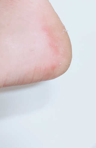 내리소님이 올린 리뷰 사진 3