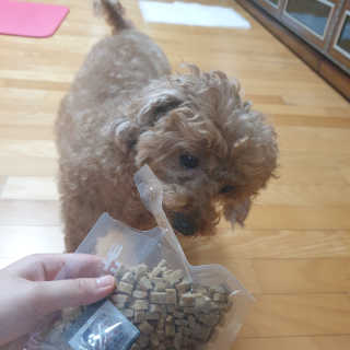 유나님이 올린 리뷰 사진 2