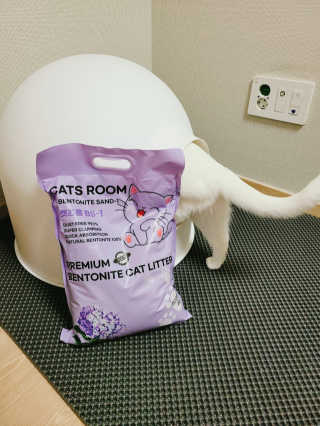 겟플렉스 켓플렉스 캣츠룸BS-1 고양이모래 4kg — 5점을 준 리뷰어가 2020년 12월 올린 사용 사진