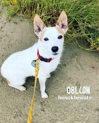 BozenaSokalski님이 올린 리뷰 사진 3
