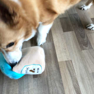 룰루랄라님이 올린 리뷰 사진 4