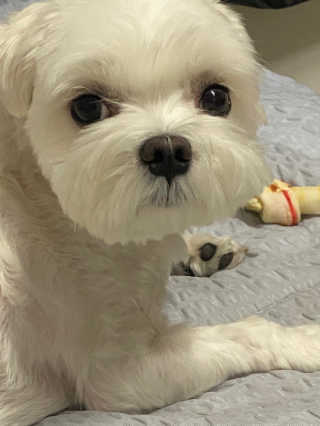 그레이트썽님이 올린 리뷰 사진 4