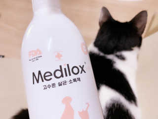 여덟둥이네님이 올린 리뷰 사진 1