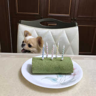 지애님이 올린 리뷰 사진 2