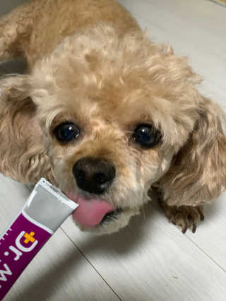 랑이님이 올린 리뷰 사진 2