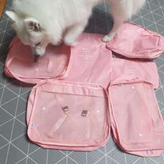 요하님이 올린 리뷰 사진 1