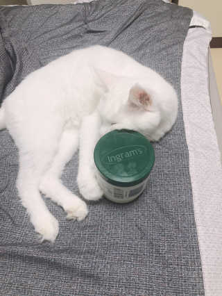 maximalistluna님이 올린 리뷰 사진 1