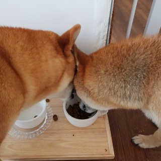 dasol님이 올린 리뷰 사진 3