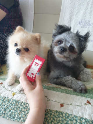 [레드허니밤]자유펫 고양이 강아지 발바닥 밤 14g — 5점을 준 리뷰어가 2020년 7월 올린 사용 사진