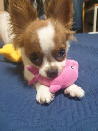 미실님이 올린 리뷰 사진 4