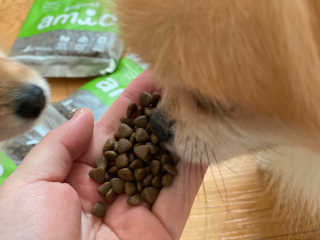 [풀무원 아미오] 자연담은식단 1kg 3종 — 5점을 준 리뷰어가 2020년 12월 올린 사용 사진