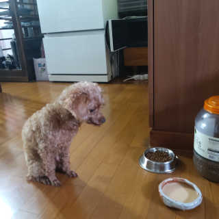 김하빈님이 올린 리뷰 사진 4