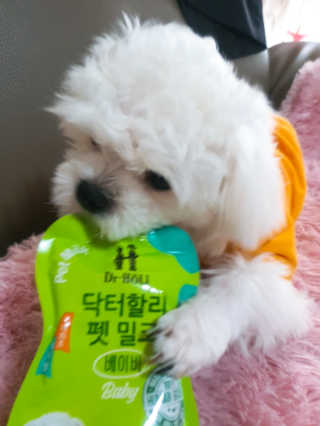 미진냥님이 올린 리뷰 사진 2