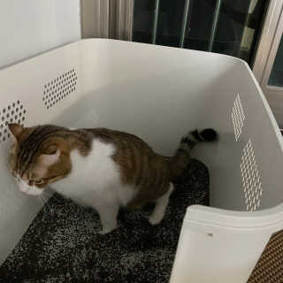 러브굿님이 올린 리뷰 사진 2