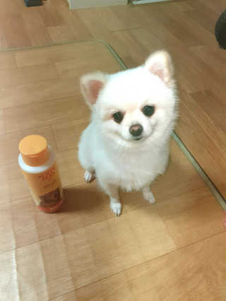 문시니니님이 올린 리뷰 사진 3