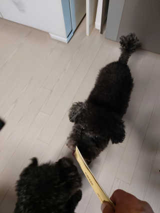 몽이님이 올린 리뷰 사진 2