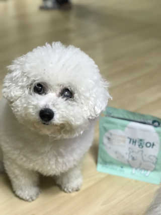 My Pet Care 천연단백질 눈건강에 개좋아 — 4점을 준 리뷰어가 2020년 11월 올린 사용 사진