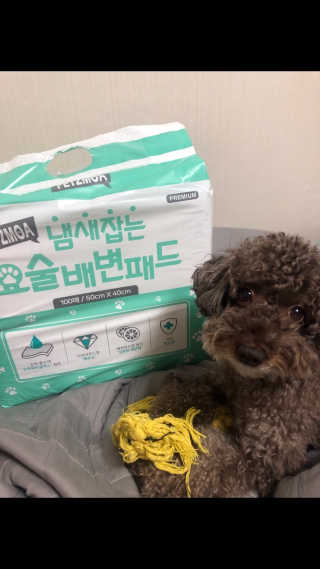 보밍님이 올린 리뷰 사진 2