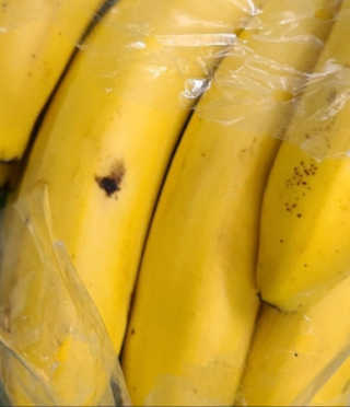 [스미후루] 감숙왕 바나나 2팩 2.6kg 이벤트 — 5점을 준 리뷰어가 2020년 11월 올린 사용 사진