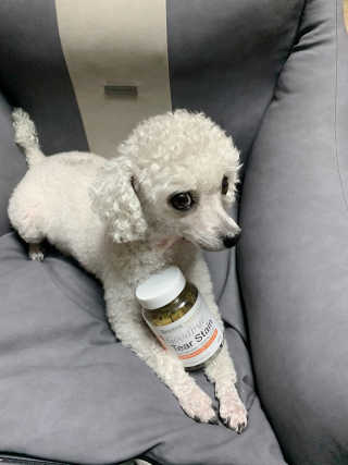 zzzbebemin님이 올린 리뷰 사진 2