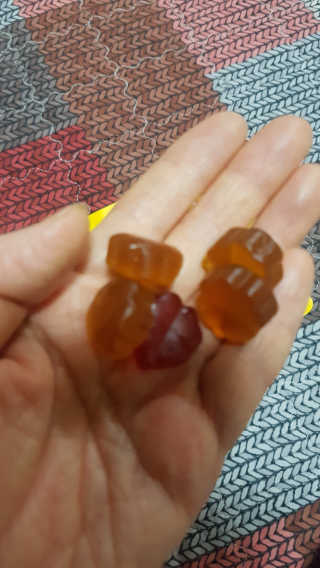프롬바이오 [1+1] 홍쓰다스 와일드망고 다이어트 구미 10일분 — 4점을 준 리뷰어가 2020년 4월 올린 사용 사진