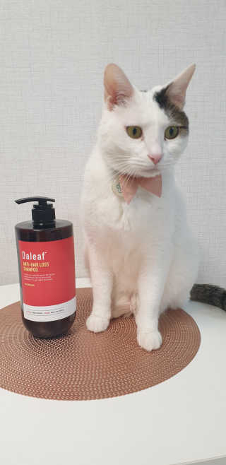 달리프 진저 베러 퍼퓸 탈모 완화 샴푸 1000ml 향 3종 — 5점을 준 리뷰어가 2020년 11월 올린 사용 사진
