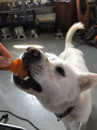 Jenny님이 올린 리뷰 사진 2
