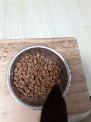 도도님이 올린 리뷰 사진 3