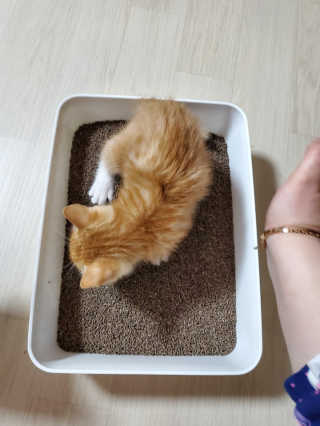 탱크돌콩님이 올린 리뷰 사진 3