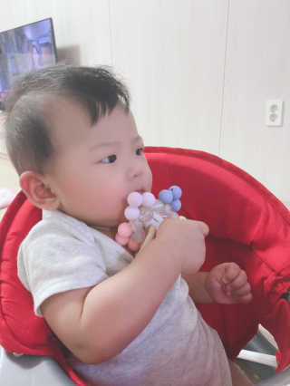 디어랑쥬 유기농 실리콘 편백나무 링 치아발육기 별 — 4점을 준 리뷰어가 2020년 9월 올린 사용 사진