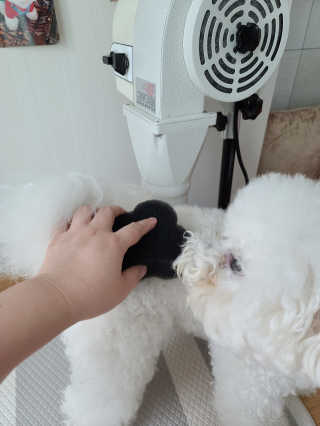 꾸꾸엄마님이 올린 리뷰 사진 3