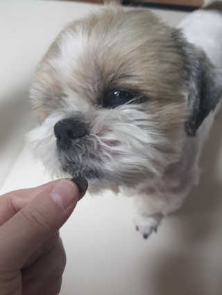 민우다빈이맘님이 올린 리뷰 사진 2