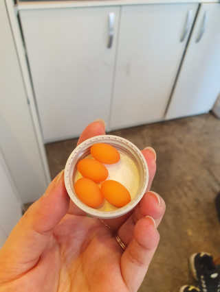 찌윤님이 올린 리뷰 사진 1