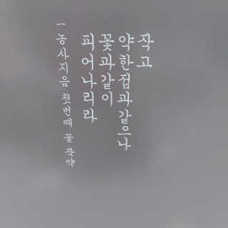 아요랑님이 올린 리뷰 사진 3