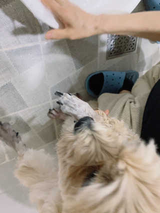 mandok님이 올린 리뷰 사진 3
