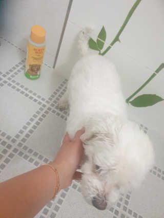 진진이님이 올린 리뷰 사진 3