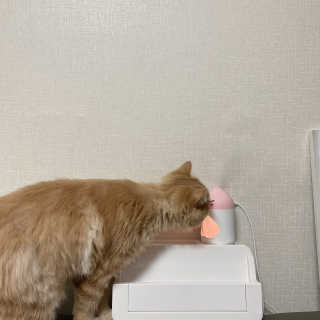 숩니님이 올린 리뷰 사진 3