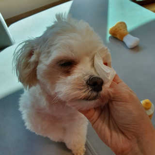 지니이쁘닝님이 올린 리뷰 사진 4