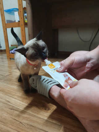 뿌엑이님이 올린 리뷰 사진 3