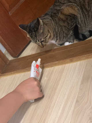 BoRaJin님이 올린 리뷰 사진 3