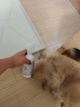 정현균님이 올린 리뷰 사진 1