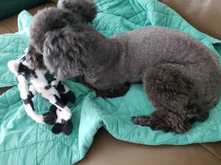 고옴이님이 올린 리뷰 사진 3