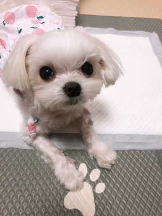 뚜덩맘님이 올린 리뷰 사진 2
