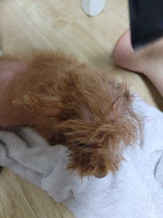왕좌늼님이 올린 리뷰 사진 3