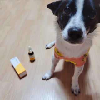 노이님이 올린 리뷰 사진 2
