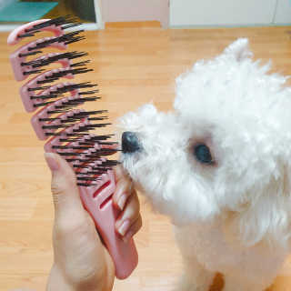 민동2님이 올린 리뷰 사진 1