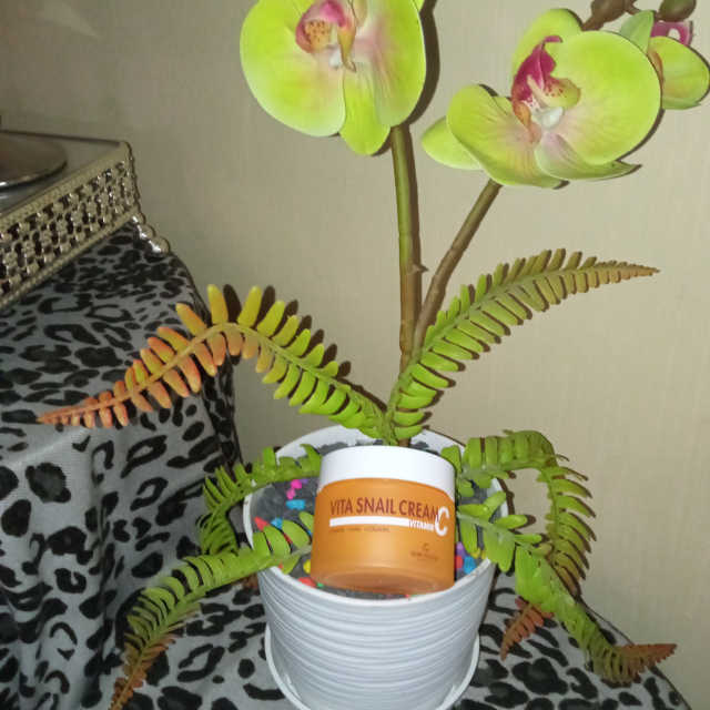 Vita Snail Cream + Hyaluronic 6000 ampoule 리뷰 사진