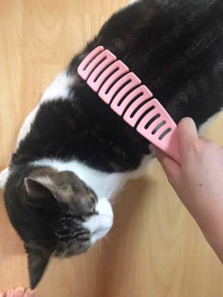 정수민님이 올린 리뷰 사진 2